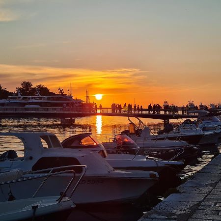 Tom'S Luxury Apartment Zadar, Branimirova Obala Dış mekan fotoğraf